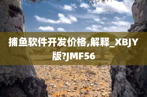 捕鱼软件开发价格,解释_XBJY版?JMF56