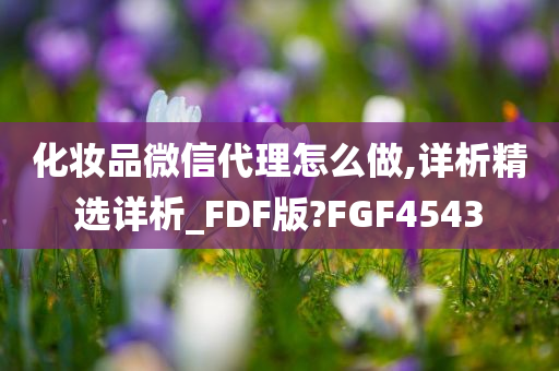 化妆品微信代理怎么做,详析精选详析_FDF版?FGF4543