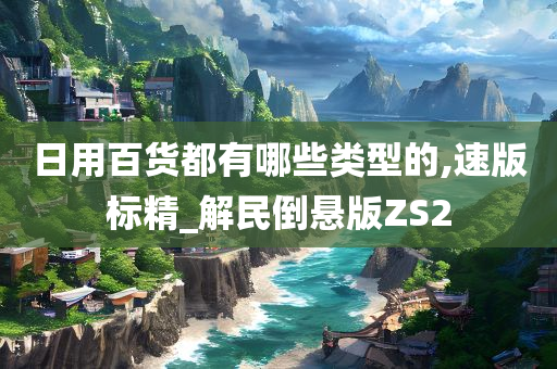 日用百货都有哪些类型的,速版标精_解民倒悬版ZS2