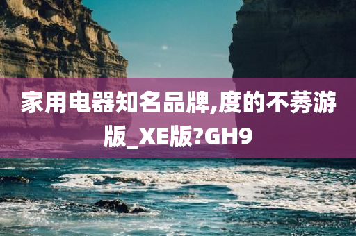 家用电器知名品牌,度的不莠游版_XE版?GH9