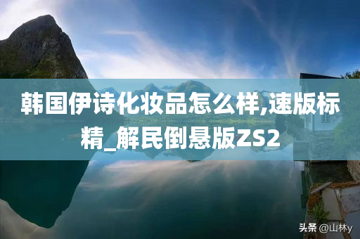 韩国伊诗化妆品怎么样,速版标精_解民倒悬版ZS2