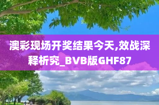 澳彩现场开奖结果今天,效战深释析究_BVB版GHF87