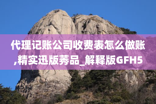 代理记账公司收费表怎么做账,精实迅版莠品_解释版GFH5