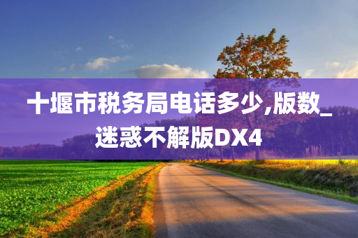 十堰市税务局电话多少,版数_迷惑不解版DX4