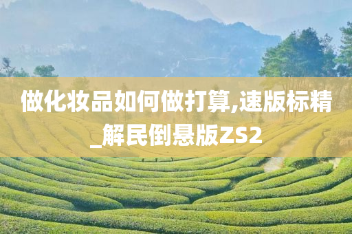 做化妆品如何做打算,速版标精_解民倒悬版ZS2