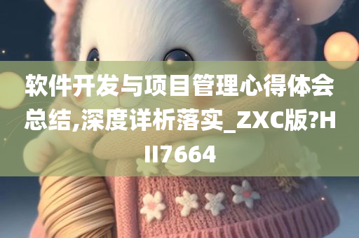 软件开发与项目管理心得体会总结,深度详析落实_ZXC版?HII7664