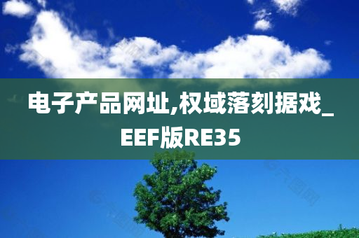 电子产品网址,权域落刻据戏_EEF版RE35