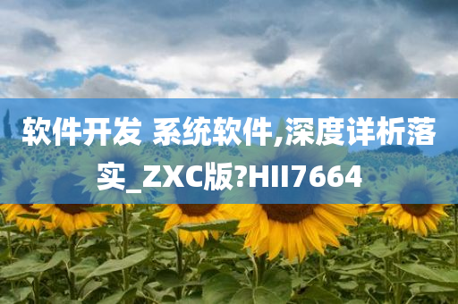 软件开发 系统软件,深度详析落实_ZXC版?HII7664