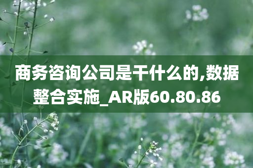 商务咨询公司是干什么的,数据整合实施_AR版60.80.86