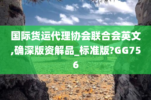 国际货运代理协会联合会英文,确深版资解品_标准版?GG756