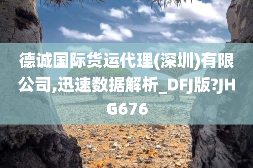 德诚国际货运代理(深圳)有限公司,迅速数据解析_DFJ版?JHG676