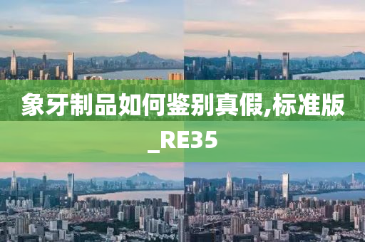 象牙制品如何鉴别真假,标准版_RE35