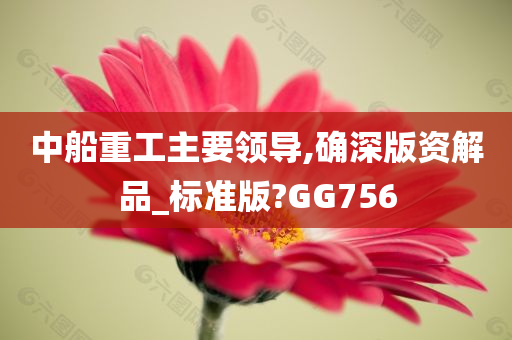 中船重工主要领导,确深版资解品_标准版?GG756