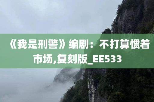 《我是刑警》编剧：不打算惯着市场,复刻版_EE533