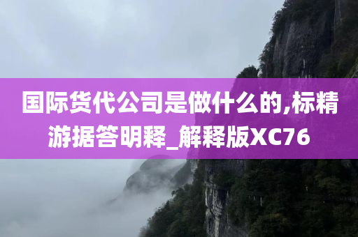 国际货代公司是做什么的,标精游据答明释_解释版XC76