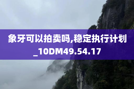 象牙可以拍卖吗,稳定执行计划_10DM49.54.17