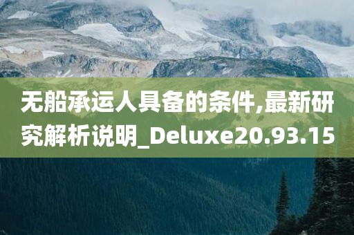 无船承运人具备的条件,最新研究解析说明_Deluxe20.93.15