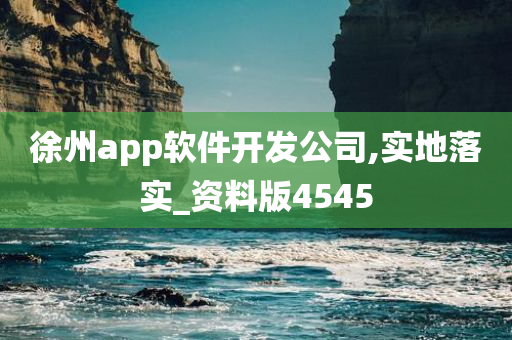 徐州app软件开发公司,实地落实_资料版4545