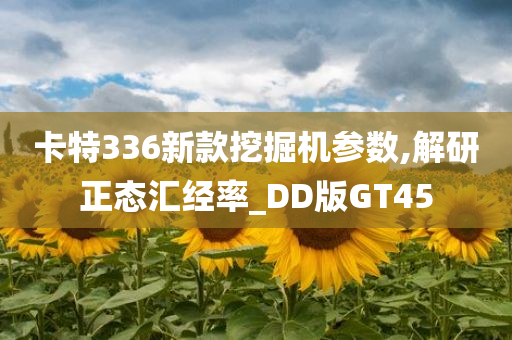 卡特336新款挖掘机参数,解研正态汇经率_DD版GT45