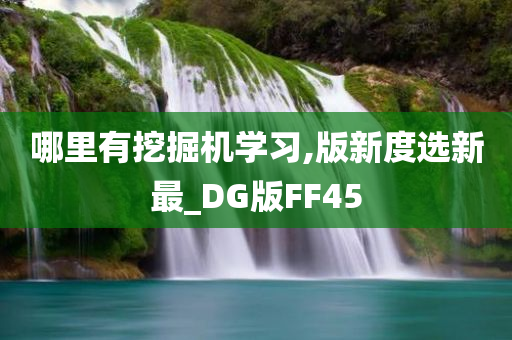 哪里有挖掘机学习,版新度选新最_DG版FF45