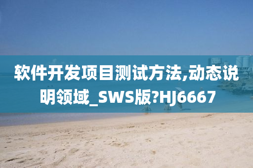 软件开发项目测试方法,动态说明领域_SWS版?HJ6667