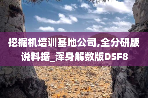 挖掘机培训基地公司,全分研版说料据_浑身解数版DSF8