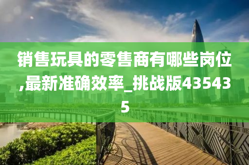 销售玩具的零售商有哪些岗位,最新准确效率_挑战版435435