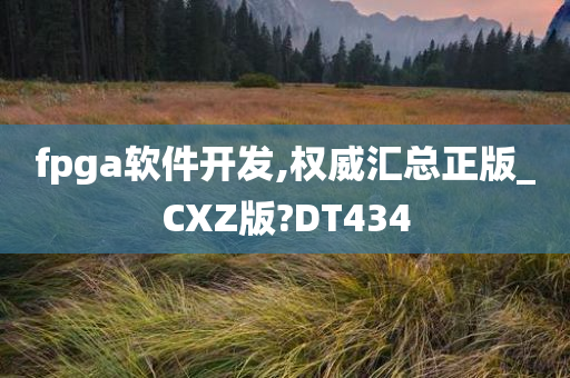 fpga软件开发,权威汇总正版_CXZ版?DT434