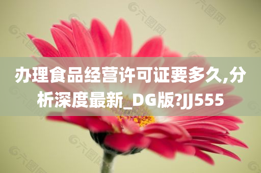 办理食品经营许可证要多久,分析深度最新_DG版?JJ555