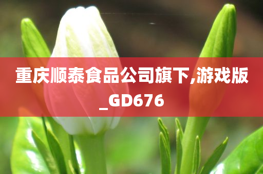 重庆顺泰食品公司旗下,游戏版_GD676