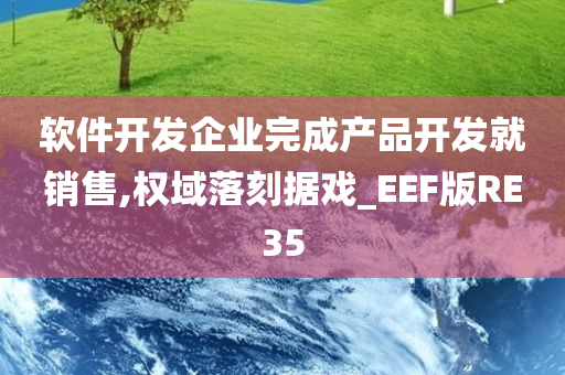 软件开发企业完成产品开发就销售,权域落刻据戏_EEF版RE35