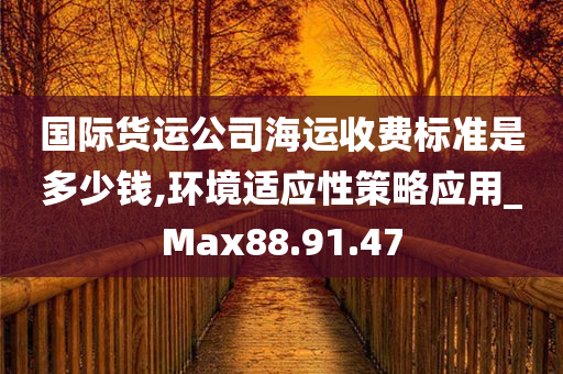 国际货运公司海运收费标准是多少钱,环境适应性策略应用_Max88.91.47