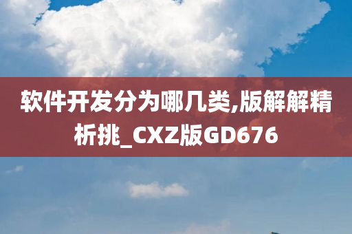 软件开发分为哪几类,版解解精析挑_CXZ版GD676