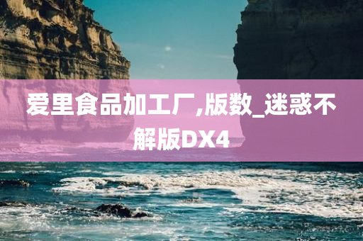 爱里食品加工厂,版数_迷惑不解版DX4