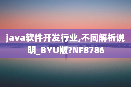 java软件开发行业,不同解析说明_BYU版?NF8786