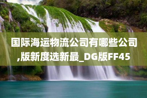 国际海运物流公司有哪些公司,版新度选新最_DG版FF45