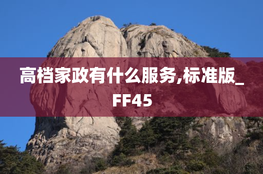 高档家政有什么服务,标准版_FF45