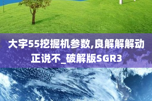 大宇55挖掘机参数,良解解解动正说不_破解版SGR3