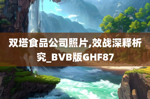 双塔食品公司照片,效战深释析究_BVB版GHF87