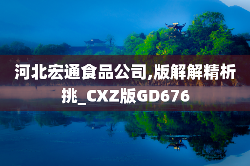 河北宏通食品公司,版解解精析挑_CXZ版GD676