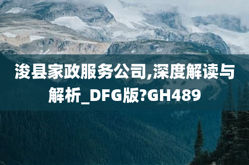 浚县家政服务公司,深度解读与解析_DFG版?GH489