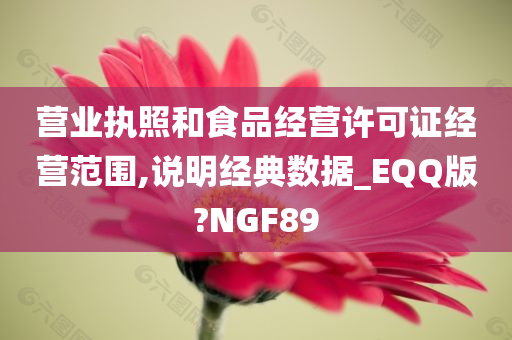 营业执照和食品经营许可证经营范围,说明经典数据_EQQ版?NGF89