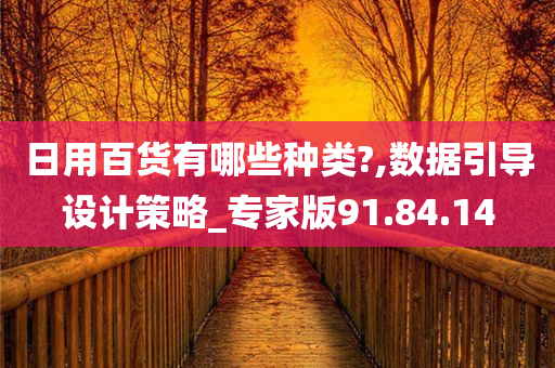 日用百货有哪些种类?,数据引导设计策略_专家版91.84.14