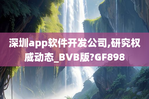 深圳app软件开发公司,研究权威动态_BVB版?GF898