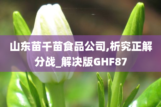 山东苗千苗食品公司,析究正解分战_解决版GHF87