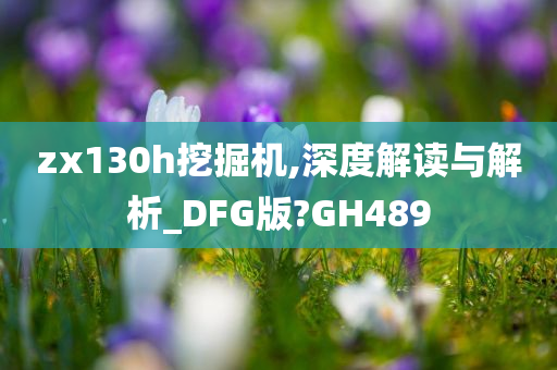 zx130h挖掘机,深度解读与解析_DFG版?GH489