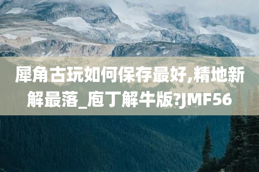 犀角古玩如何保存最好,精地新解最落_庖丁解牛版?JMF56