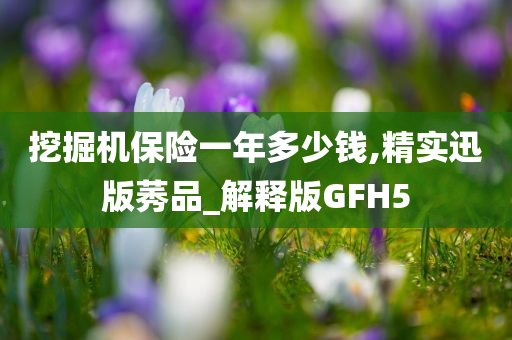 挖掘机保险一年多少钱,精实迅版莠品_解释版GFH5