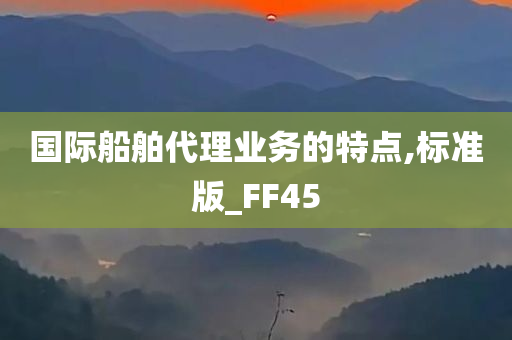 国际船舶代理业务的特点,标准版_FF45