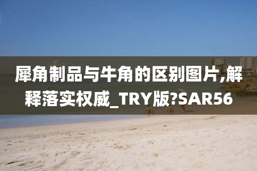 犀角制品与牛角的区别图片,解释落实权威_TRY版?SAR56